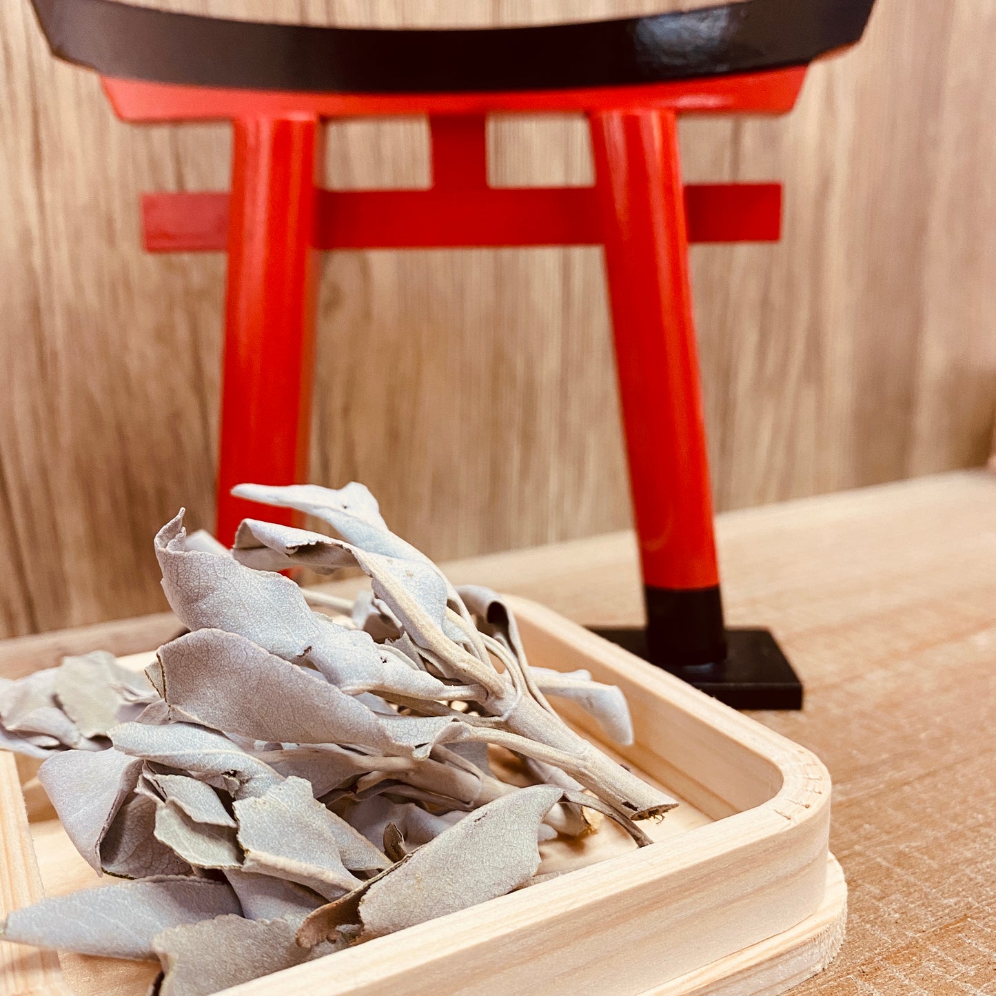 日本白鼠尾草-30g